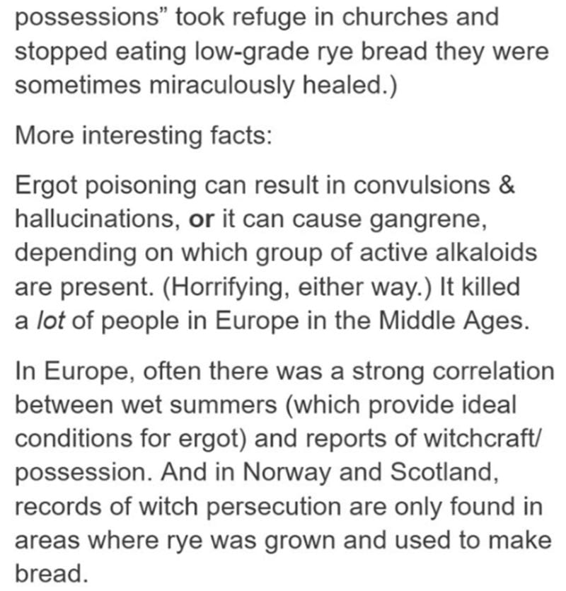 ideal conditions ergot and reports witchcraft possession and norway and scotland records witc Interesting Theory Proposes the Salem Witch Trials Could Have Been Caused by a Fungus