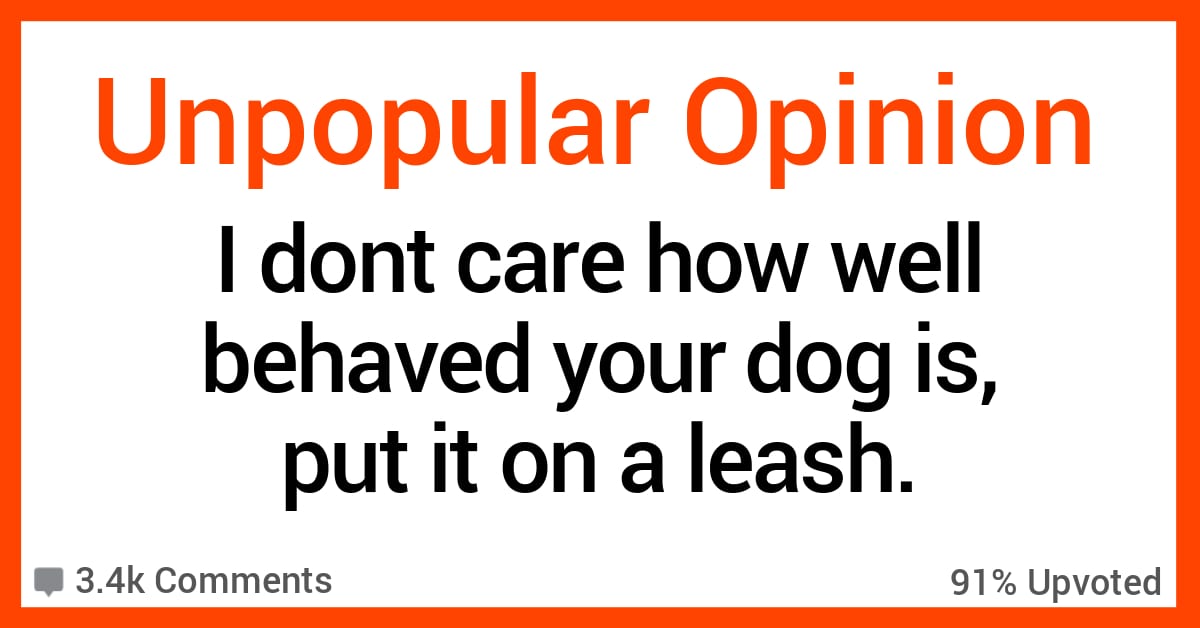 People Respond To The Unpopular Opinion: "I Don't Care How Well Behaved ...