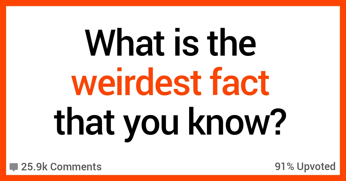 People Share the Weirdest Facts They Know
