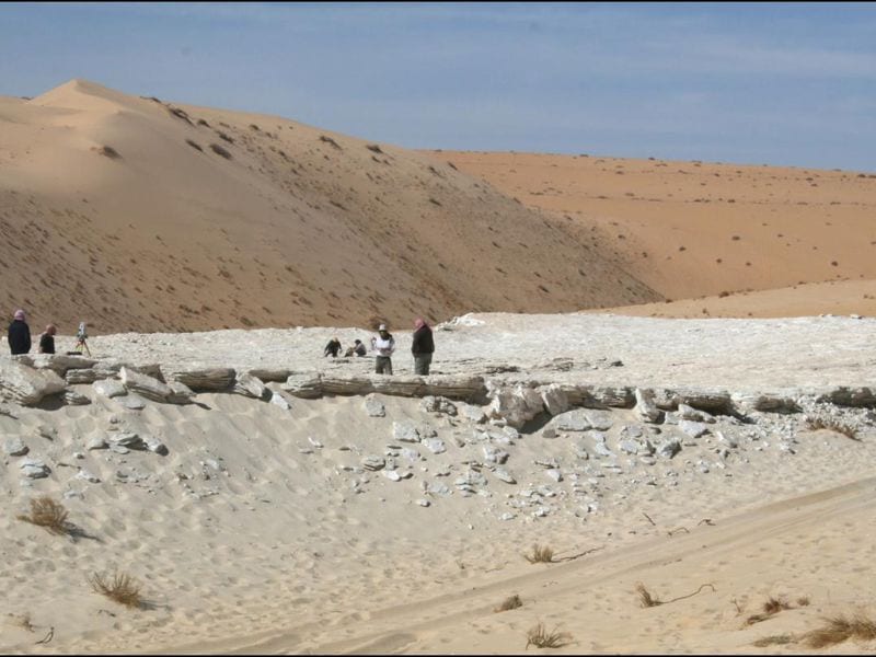 Researchers identified seven prehistoric human footprints at Alathar, a dried-up lake bed in Saudi Arabia. Image Credit: <a href="https://www.palaeodeserts.com/">Palaeodeserts Project</a>