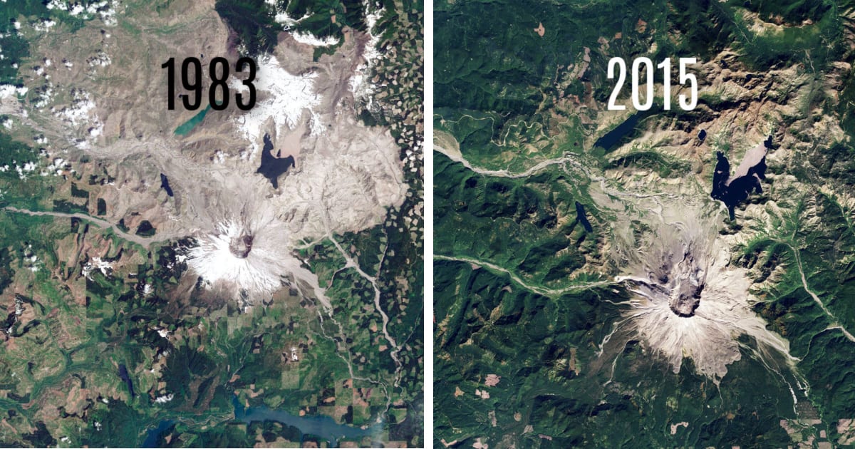 Mount Saint Helens Is Turning Green Again After 40+ Years