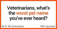 22 Veterinarians Share The Worst Pet Names They ve Heard