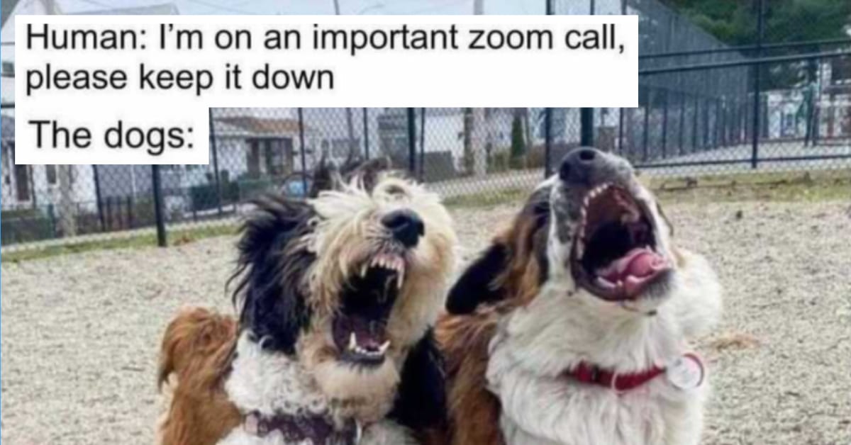 12 Memes for Those of Us Who Don't Feel Like Working Today