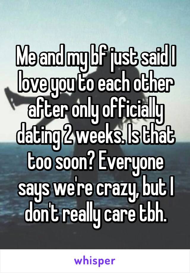Me and my boyfriend just said I love you to each other after only officially dating two weeks. Is that too soon? Everyone says we're crazy, but I don't really care to be honest.