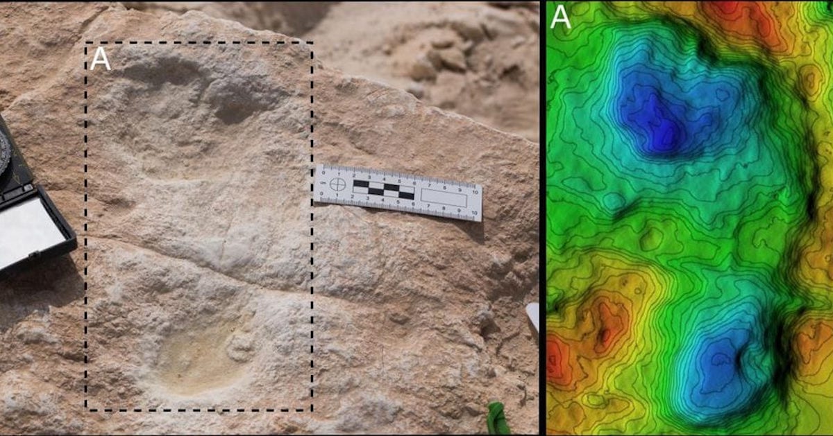115000 Year Old Human Footprints