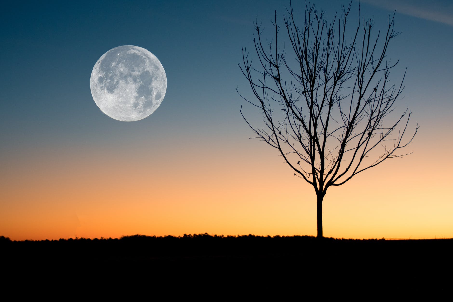  Here Are 5 Ways a Full Moon Can Affect Your Mood