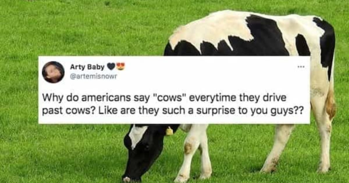 14 American Phrases That Confuse Absolutely Everyone Else