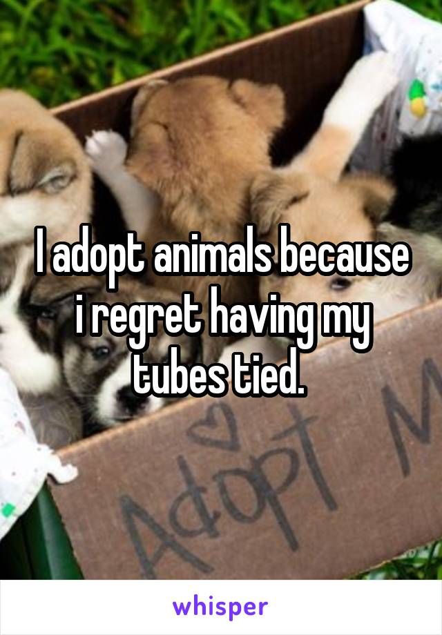 I adopt animals because I regret having my tubes tied.