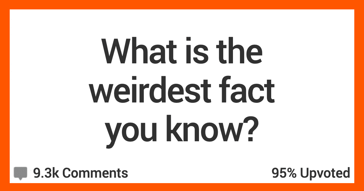 15 People Share The Odd Facts That Always Earn Them Strange Looks