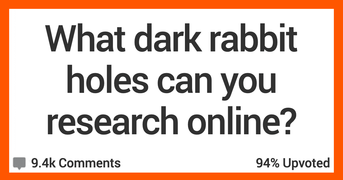 Questions Rabbit Hole 12 People Talk About Online Rabbit Holes You Can Lose A Lot Of Time In