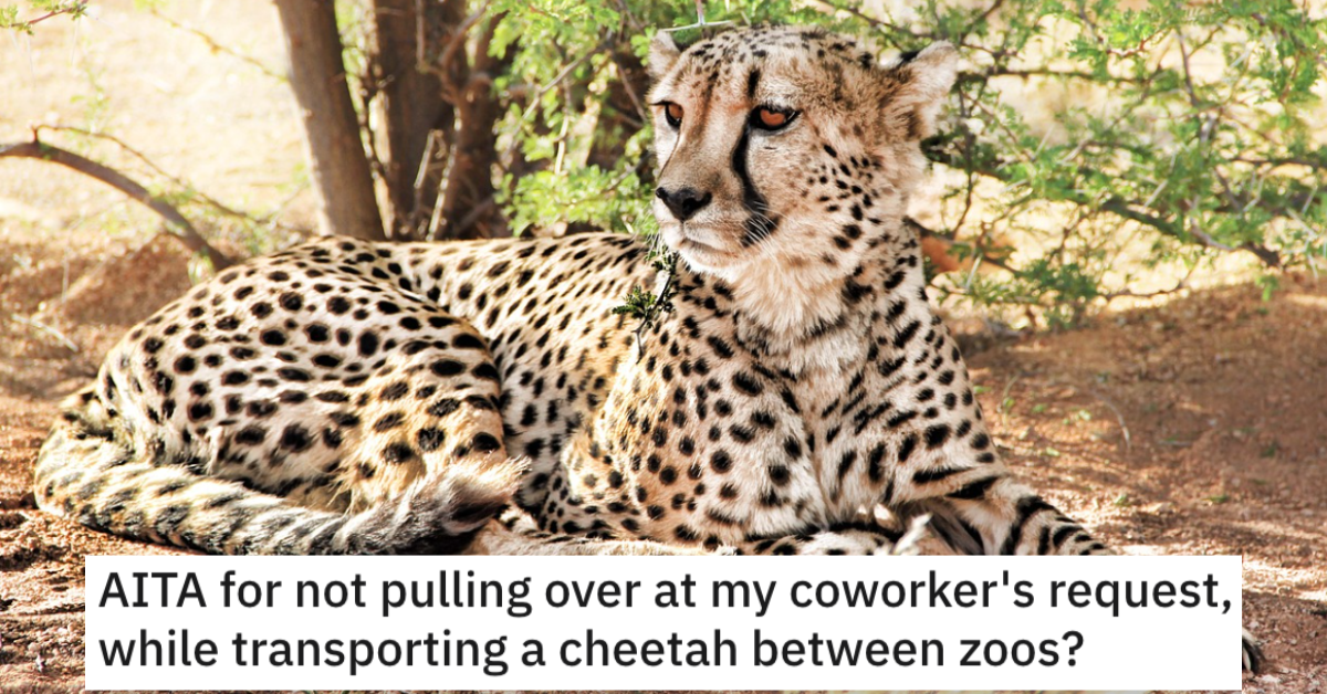This Zookeeper Wouldn’t Pull Over for Her CoWorker While Transporting